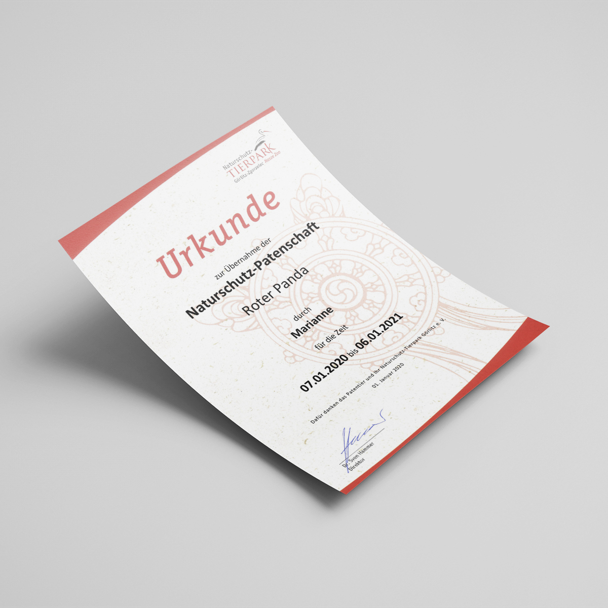 Amphibien - Oberlausitz